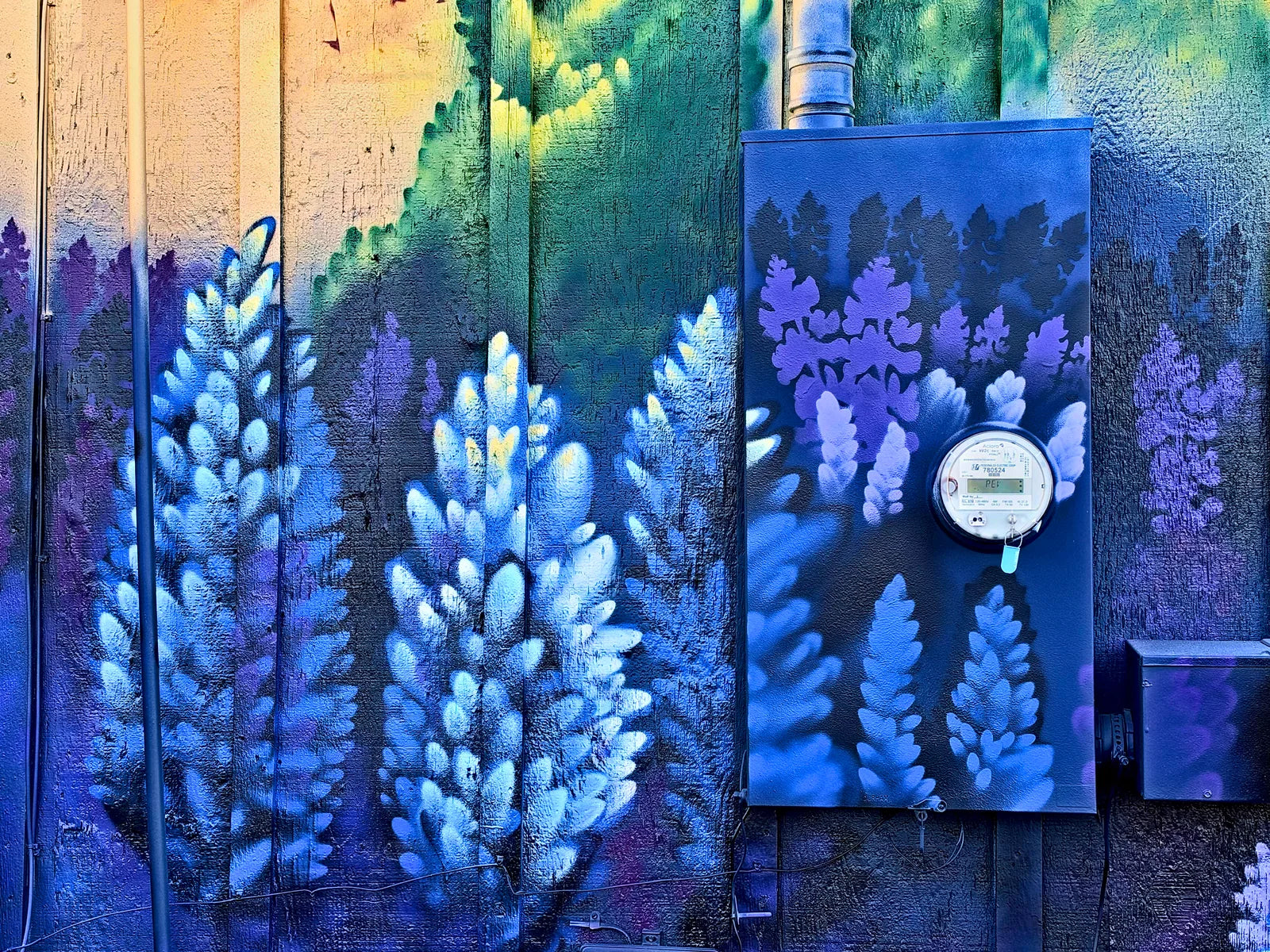 Painted bluebonnets wrapping the electrical box on the Parkers wall
